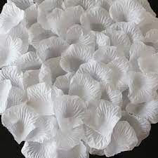 White Rose Petals