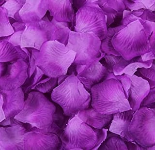 Deep and Light Purple Rose Petals