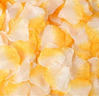 Yellow and White Rose Petals