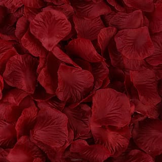 Burgundy or Wine Rose petals. Colour 2